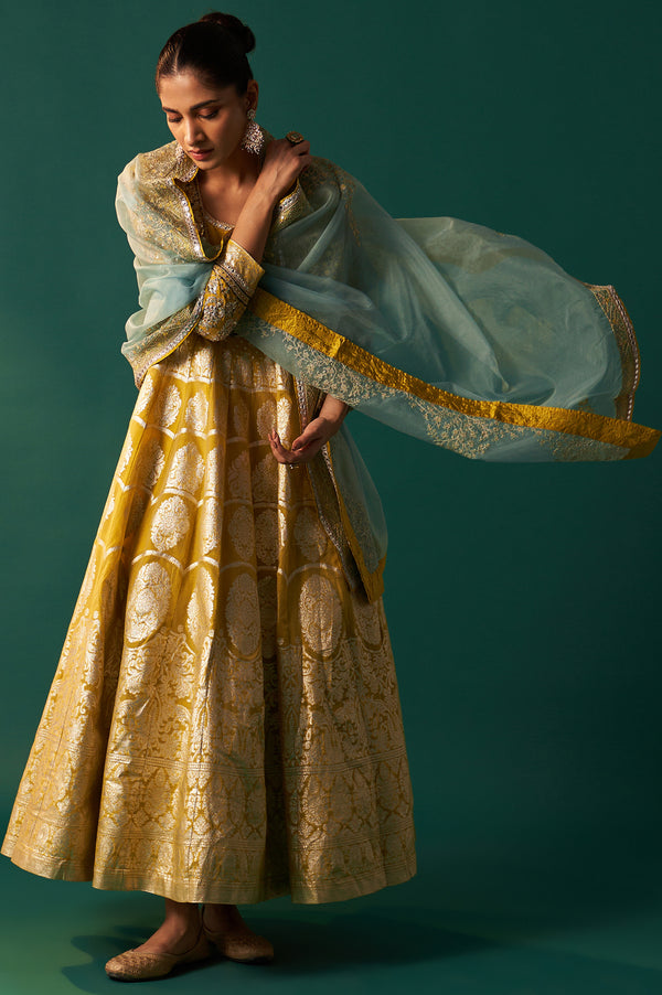 Celery Green Zari Embroidered Anarkali Jacquard Dress and Dupatta Set