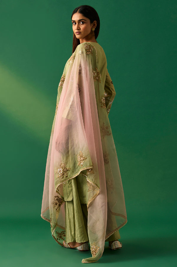 Green Embroidered Straight Cotton Kurta with Culotte and Dupatta Set