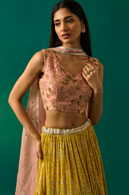 Pink Embroidered Straight Cut Blouse with Skirt and Dupatta Set
