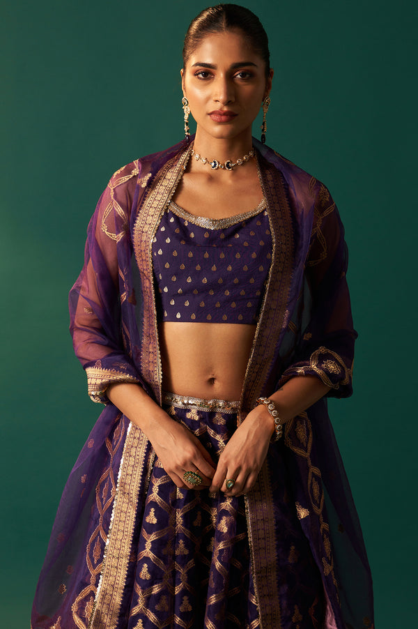 Purple Zari Embroidered Jacquard Blouse with Flared Skirt and Dupatta Set