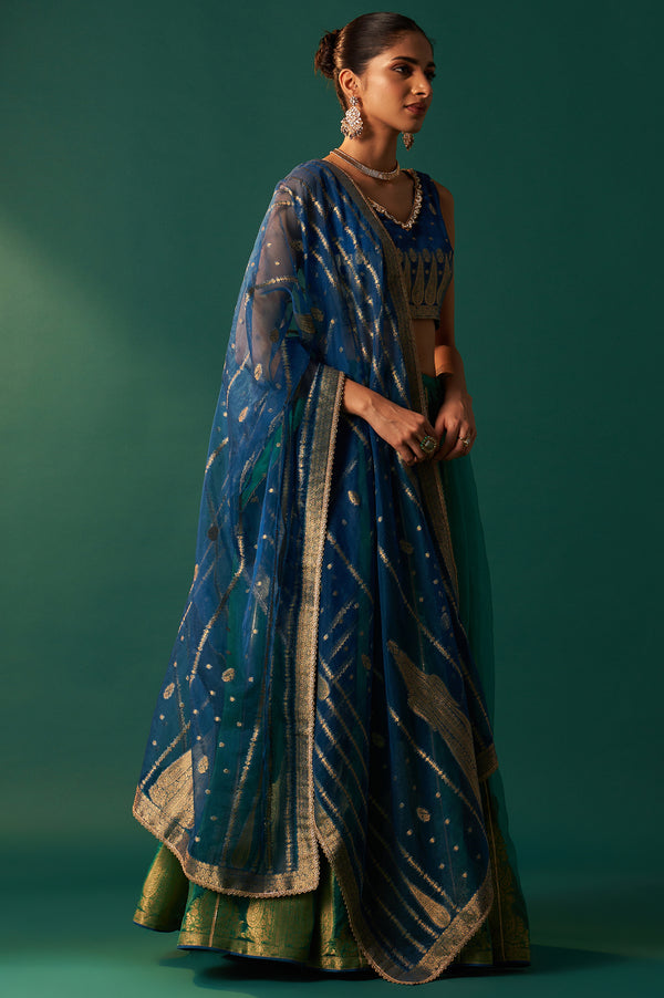 Blue Zari Embroidered Jacquard Blouse with Parrot Green Lehenga and Dupatta Set