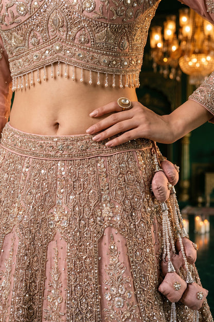 Wishful Pink Zari Embroidered Mesh Straight Blouse with Lehenga and Dupatta Set