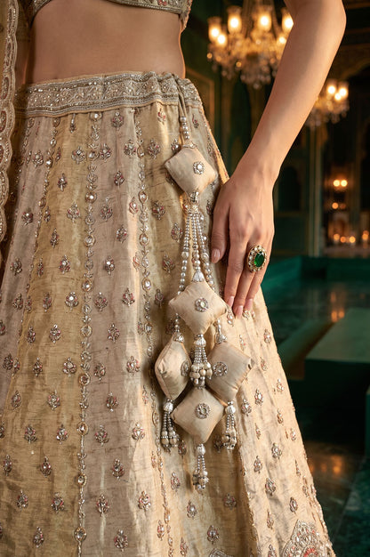 Wishful Gold Zari Embroidered Tissue Straight Blouse with Lehenga and Dupatta Set